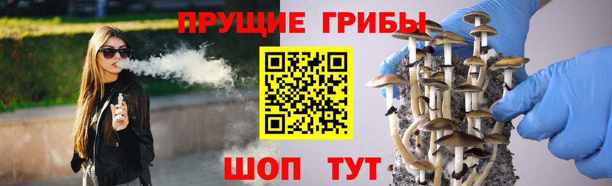 Галлюциногенные грибы мицелий  купить наркоту  Фурманов  Вход с VPN 